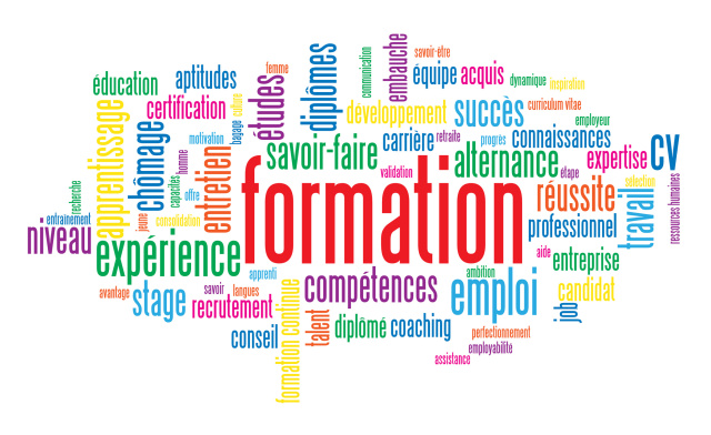 Avis CFAI : une formation permanente pour tous !